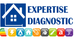 Logo de diagnostic expert.